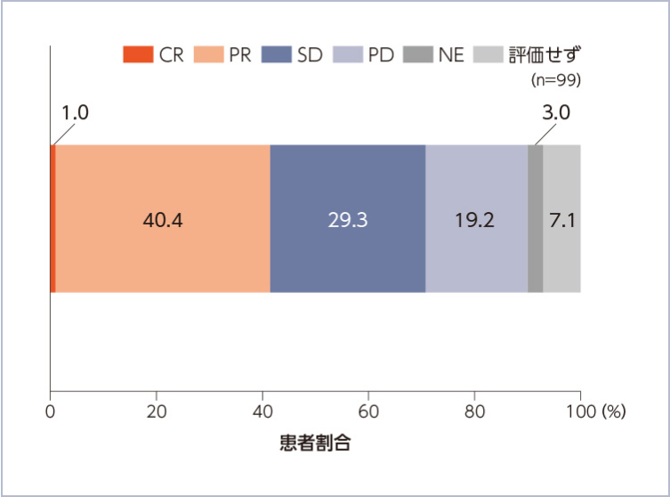 図：試験デザイン